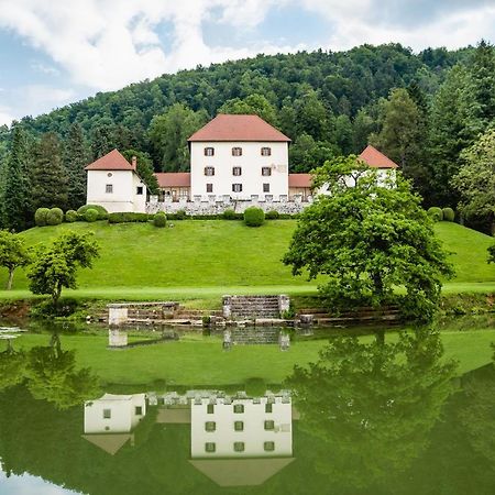 Grad Strmol Villa Cerklje na Gorenjskem Exterior foto