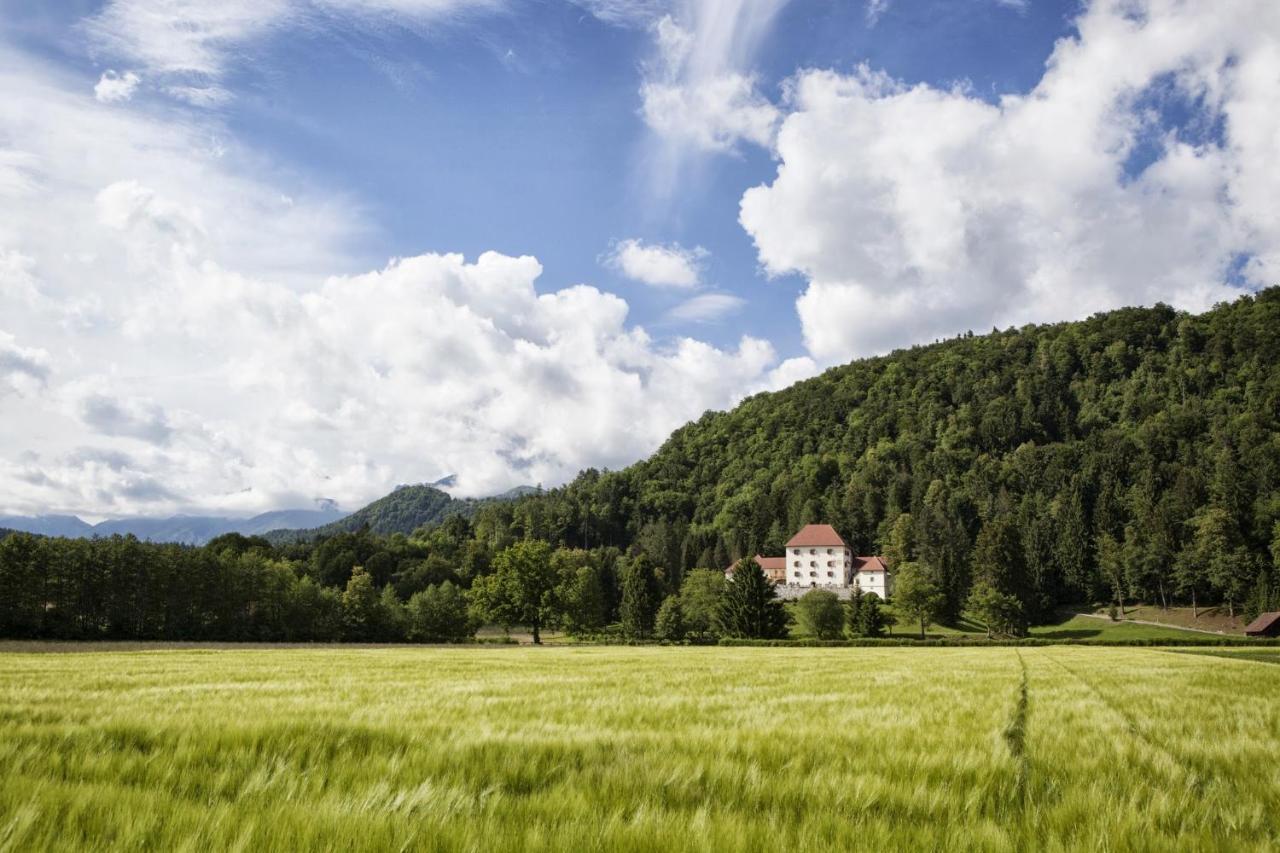 Grad Strmol Villa Cerklje na Gorenjskem Exterior foto