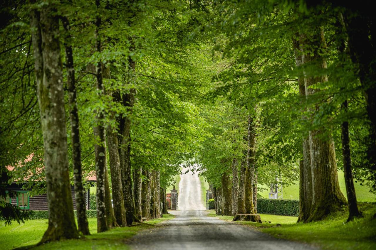 Grad Strmol Villa Cerklje na Gorenjskem Exterior foto