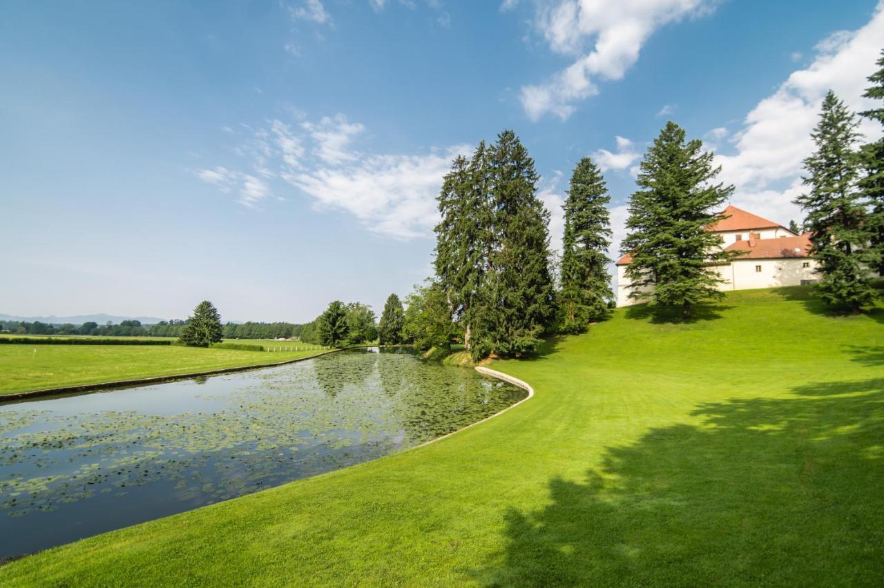 Grad Strmol Villa Cerklje na Gorenjskem Exterior foto