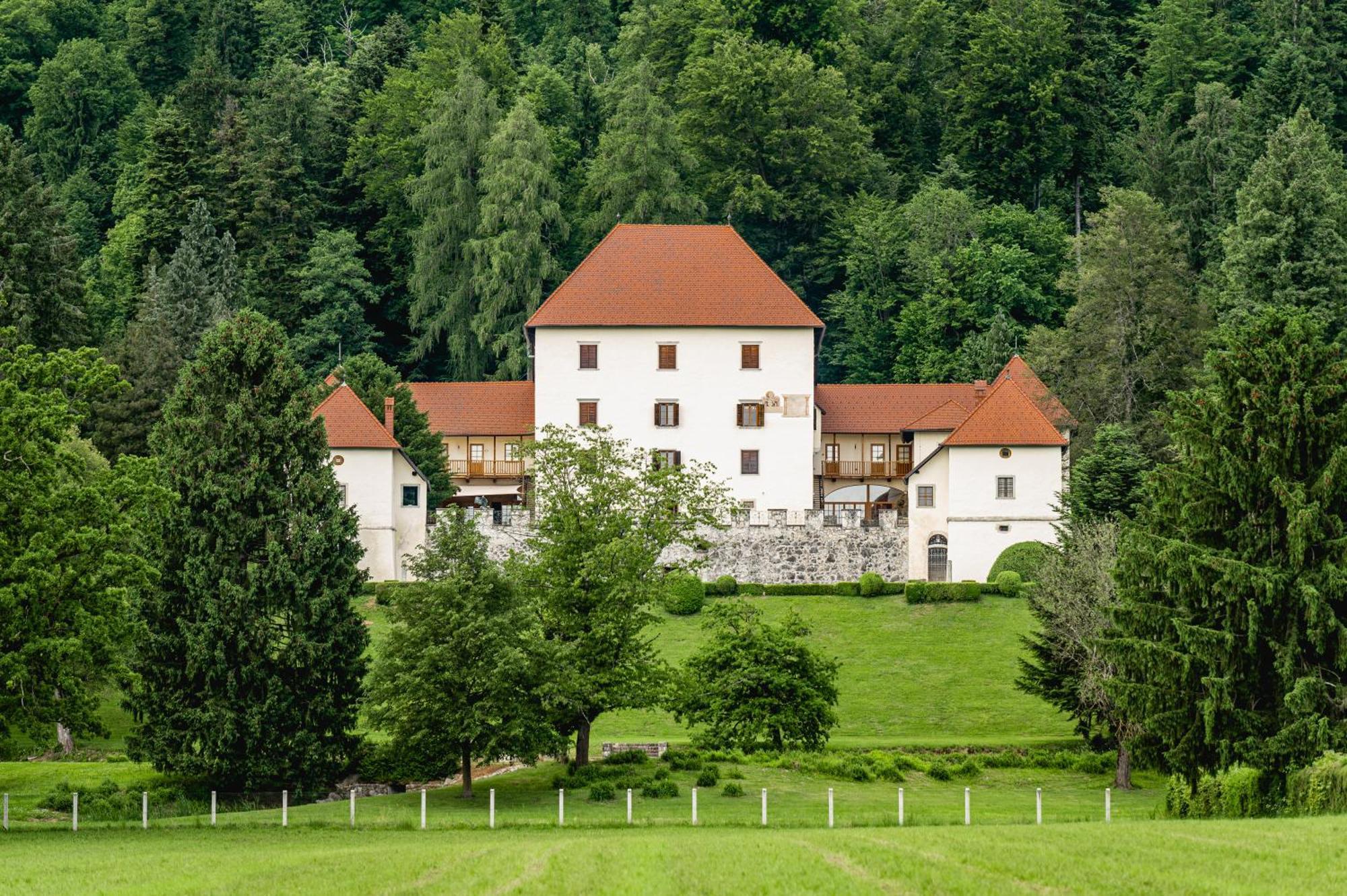 Grad Strmol Villa Cerklje na Gorenjskem Exterior foto