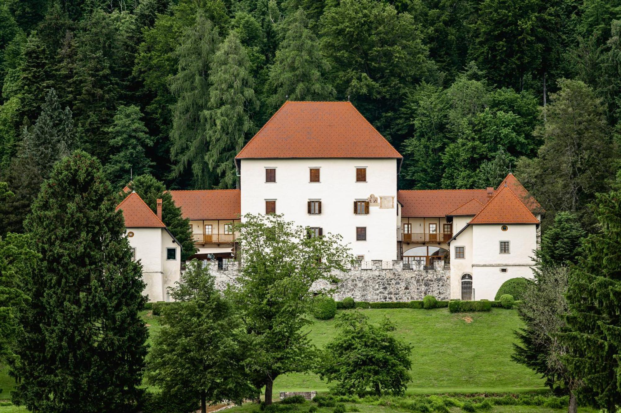 Grad Strmol Villa Cerklje na Gorenjskem Exterior foto